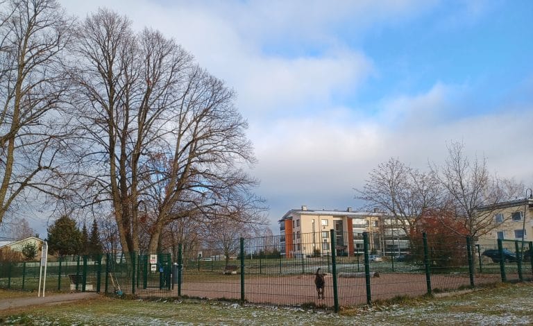 Aidattu pienten koirien koirapuisto, ruskea koira ja taustalla kerrostalo.