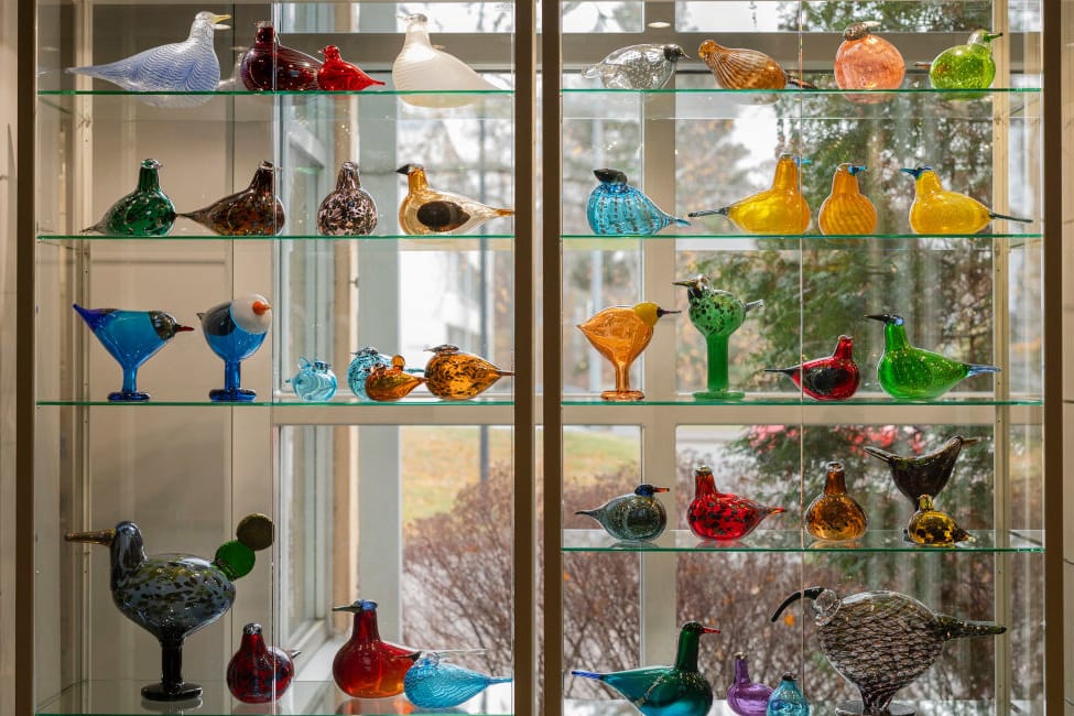 Pääkirjaston Oiva Toikan lasilintukokoelman lintuja