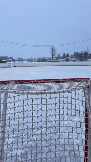 Jääkiekkokaukalo ja maali.