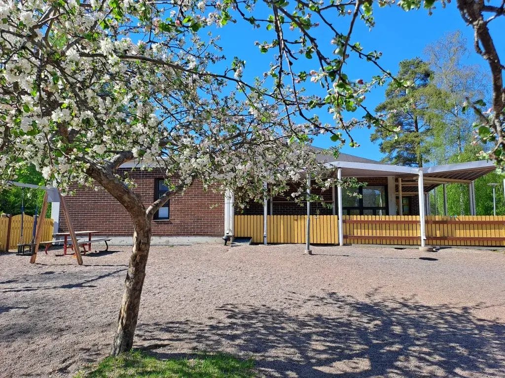 Ruissalon päiväkodin piha ja rakennuksen ulkoseinä, kukkiva omenapuu