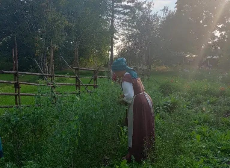 Keskiaikaiseen mekkoon pukeutunut nainen vehreällä kasvimaalla